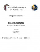 Integradora de español. El diagnóstico, dentro del ámbito médico