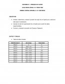 Informe presion de vapor