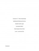 Evaluación, Taller de Aprendizaje