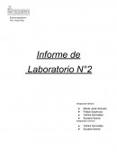 Informe de Laboratorio N°2
