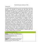 Exportaciones de nueces en el Perú