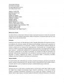 Historia clinica pelicula despertares