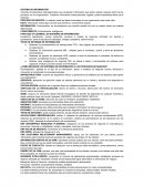 SISTEMA DE INFORMACIÓN - ENSAYO