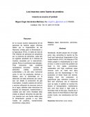 Los Insectos como fuente de proteína