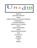 CONCEPTUALIZACIÓN DE LA DELINCUENCIA TECNOLÓGICA