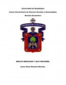 ENSAYO MERCOSUR Y SUS FUNCIONES.