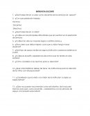 ENTREVISTA A DOCENTE