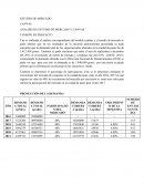 ANALISIS DE ESTUDIO DE MERCADO Y CANVAS