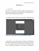 Practicas Illustrator
