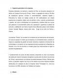 Estudio de mercado de piñas