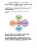 La organización de la mercadotecnia industrial.
