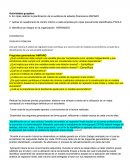 Preguntas generadoras AMPARO