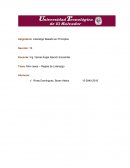 Reglas de Liderazgo- Mini casos