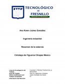 APLICACIÓN DE LAS NORMAS DE LA STPS EN CINTALAPA, CHIAPAS