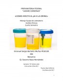 COMO AFECTA EL pH A LA ORINA