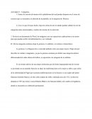 Categorías Apresiación estetica
