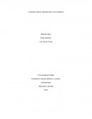 Complejo cultural santandereano o neo hispánico