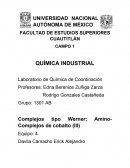 Complejos tipo Werner; Amino- Complejos de cobalto