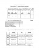 La gran Clasificación de materia y densidad