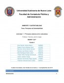AMBIENTE Y SUSTENTABILIDAD Tema. Principios de Sustentabilidad