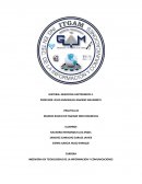 PRACTICA #2 MANEJO BASICO DE PAGINAS WEB DINAMICAS