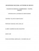INTRODUCCION A LAS REDES DE COMPUTADORAS MATERIAS: TALLER DE COMPUTACION 1