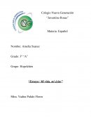 Ensayo: Mi vida, mi éxito