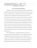 CÉLULAS DEL SISTEMA NERVIOSO