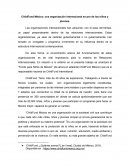 El gran ChildFund México: una organización internacional en pro de los niños y jóvenes.