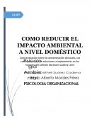 COMO REDUCIR EL IMPACTO AMBIENTAL A NIVEL DOMÉSTICO