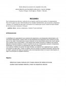 PESO MOLECULAR DE UN LIQUIDO VOLATIL