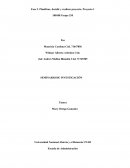 Explicación de la Fase 2. Planificar, decidir y realizar proyecto. Proyecto 1