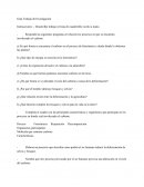 Guía Trabajo de Investigación