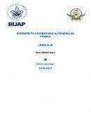 Ensayo de Como hacer el amor