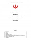 Planificación de Recursos Empresariales (ERP)