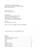 Diseño organizacional. CASO PRÁCTICO EN: FAPSA y asociados S.A DE C.V