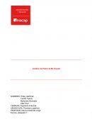 En que consiste los Procesos Logisticos Mc Donalds