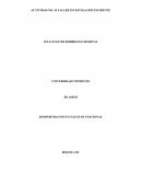 Investigacion FORMATO DE INVESTIGACIÓN DE INCIDENTES Y ACCIDENTES DE TRABAJO- INFORMACIÓN ADICIONAL AL REPORTE