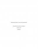 Identificando beneficios sociales del emprendimiento Emprendimiento productos tecnológicos