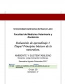 Etapa1 Principios básicos de la naturaleza. AMBIENTE Y SUSTENTABILIDAD