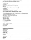 Resumen enterobacterias