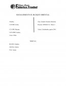 SOCIALISMO EN EL BLOQUE ORIENTAL