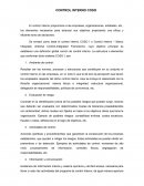 CONTROL INTERNO CASO