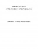 MASTER EN DIRECCION DE RECURSOS HUMANOS ESTRUCTURAS Y MODELOS ORGANIZACIONALES