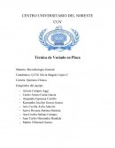 Técnica de vaciado en placa