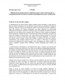 PROGRAMACION DE METAS RESOLVER PROBLEMAS MAS COMPLEJOS