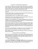 CONCEPTO Y DESCRIPCIÓN DE NEURONAS