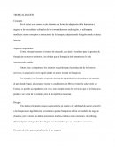 Franquicias - Tropicalización