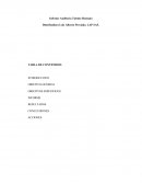 Informe Auditoria Talento Humano