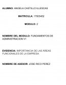 EVIDENCIA: IMPORTANCIA DE LAS ÁREAS FUNCIONALES DE LA EMPRESA